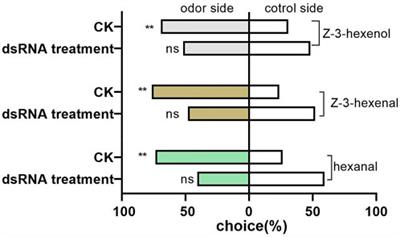 Interference with orco gene expression affects host recognition in Diorhabda tarsalis